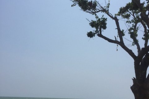 Земельный участок в Хуа Хине, Таиланд 1321.2м2  № 138818 - фото 8