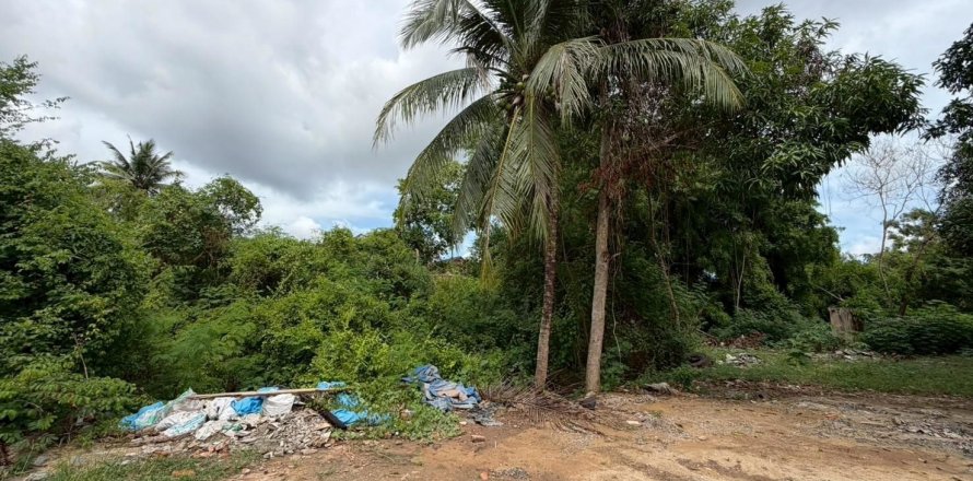 Terrain à Surat Thani, Thaïlande 1600 m2 № 156951