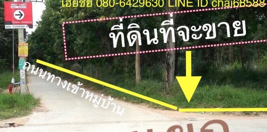 Land in Nakhon Ratchasima, Thailand 17600 sq.m. № 156954