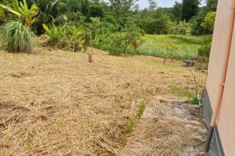 Terrain à Pa Klok, Thaïlande 3200 m2 № 147234 - photo 9