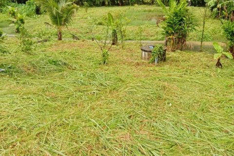 Terrain à Pa Klok, Thaïlande 3200 m2 № 147234 - photo 14