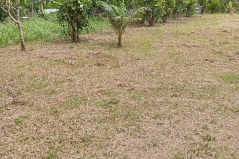 Terrain à Pa Klok, Thaïlande 3200 m2 № 147234 - photo 4