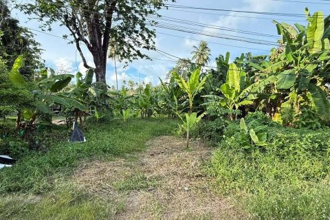 Земельный участок в Май Кхао, Таиланд 1600м2  № 147231 - фото 1