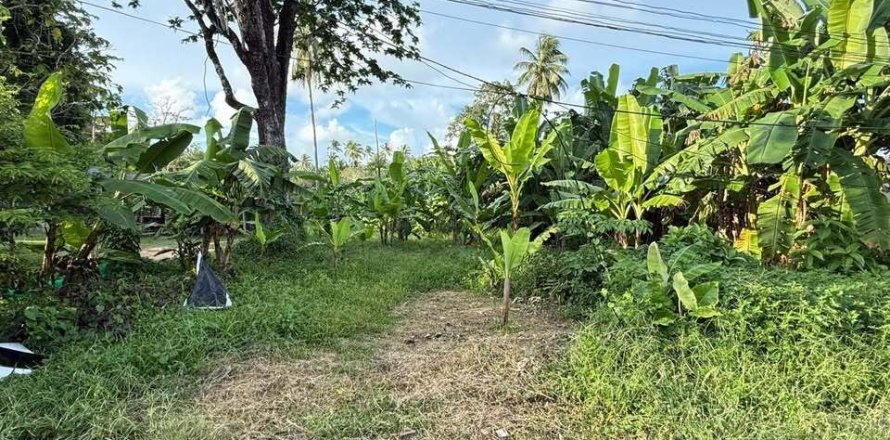 Земельный участок в Май Кхао, Таиланд 1600м2  № 147231