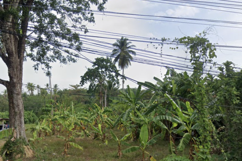 Земельный участок в Май Кхао, Таиланд 1600м2  № 147231 - фото 4