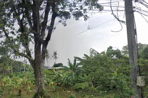 Земельный участок в Май Кхао, Таиланд 1600м2  № 147231 - фото 5