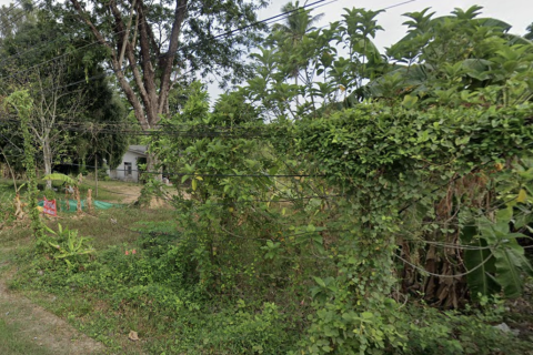 Земельный участок в Май Кхао, Таиланд 1600м2  № 147231 - фото 2