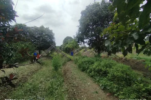 Land in Bang Khla, Thailand 8744 sq.m. № 156638 - photo 9