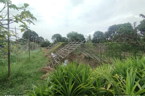 Land in Bang Khla, Thailand 8744 sq.m. № 156638 - photo 8