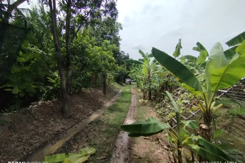 Land in Bang Khla, Thailand 8744 sq.m. № 156638 - photo 4