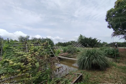 Land in Bang Khla, Thailand 8744 sq.m. № 156638 - photo 3