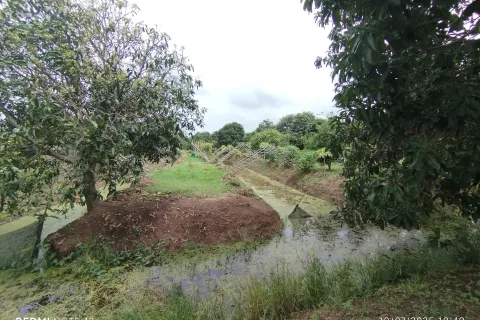 Land in Bang Khla, Thailand 8744 sq.m. № 156638 - photo 6