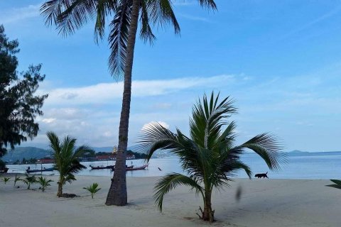 Duplex in Ko Samui, Thailand 3 bedrooms № 138547 - photo 26