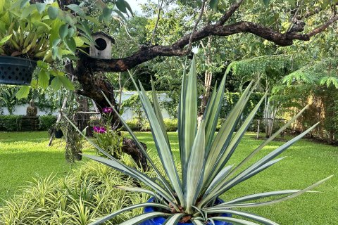 Вилла в Ханг Донге, Таиланд с 3 спальнями  № 154290 - фото 30