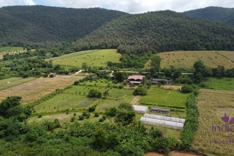 Propriété commerciale à Chiang Dao, Thaïlande 500 m2 № 200365 - photo 5
