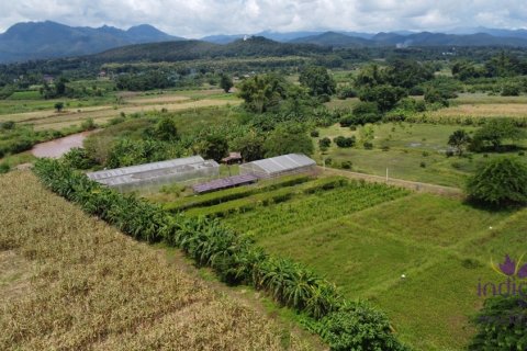 Propriété commerciale à Chiang Dao, Thaïlande 500 m2 № 200365 - photo 18