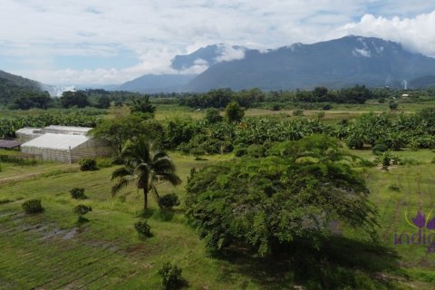 Propriété commerciale à Chiang Dao, Thaïlande 500 m2 № 200365 - photo 21