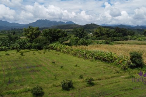 Propriété commerciale à Chiang Dao, Thaïlande 500 m2 № 200365 - photo 20