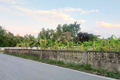 Land in Saraphi, Thailand 1512 sq.m. № 173357 - photo 5