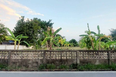 Land in Saraphi, Thailand 1512 sq.m. № 173357 - photo 3