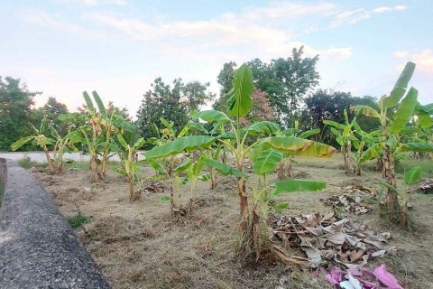 Land in Saraphi, Thailand 1512 sq.m. № 173357 - photo 4