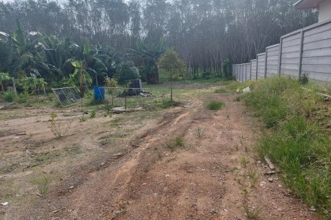 Terrain à Phuket, Thaïlande 958 m2 № 145841 - photo 3