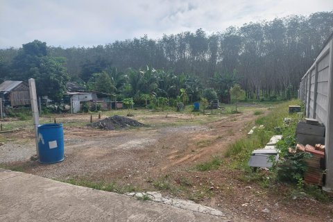 Terrain à Phuket, Thaïlande 958 m2 № 145841 - photo 5