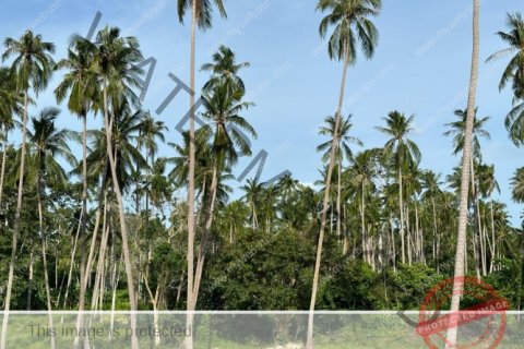 Grundstück in Ko Samui, Thailand № 222175 - Foto 13