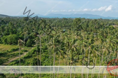 Grundstück in Ko Samui, Thailand № 222175 - Foto 8