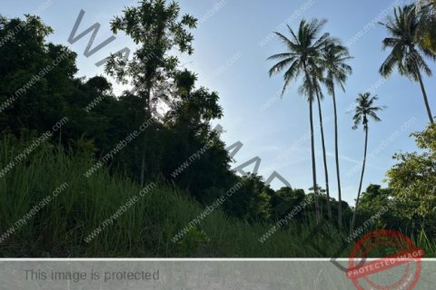 Grundstück in Ko Samui, Thailand № 222175 - Foto 5