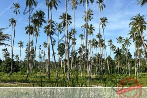 Grundstück in Ko Samui, Thailand № 222175 - Foto 7