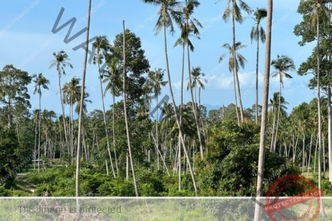Grundstück in Ko Samui, Thailand № 222175 - Foto 12