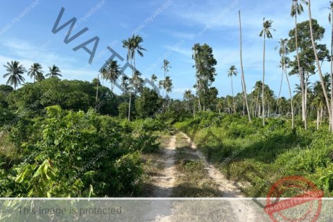 Grundstück in Ko Samui, Thailand № 222175 - Foto 11