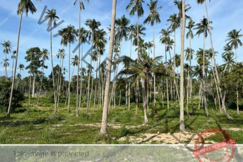 Grundstück in Ko Samui, Thailand № 222175 - Foto 6