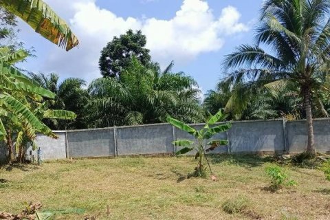 House in Phang Nga, Thailand 2 bedrooms № 144900 - photo 14