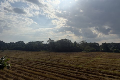 House in Chiang Mai, Thailand 4 bedrooms № 154716 - photo 21