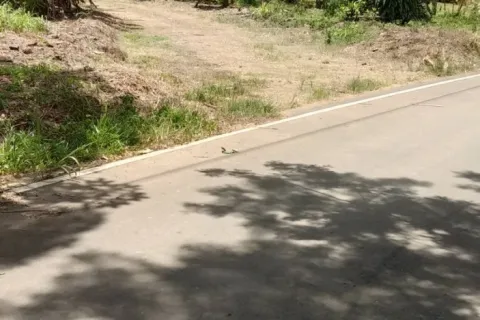 Maison à Trat, Thaïlande 3 chambres № 149137 - photo 3