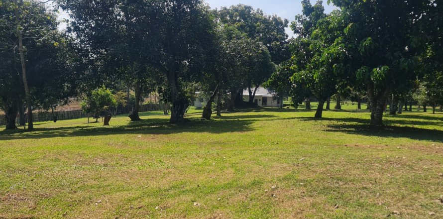 Land in Chiang Rai, Thailand 1600 sq.m. № 171661