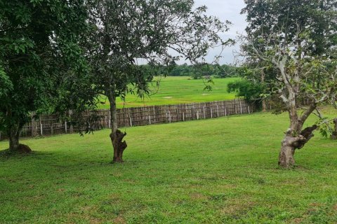 Land in Chiang Rai, Thailand 1600 sq.m. № 171661 - photo 20