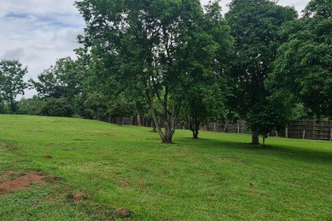 Land in Chiang Rai, Thailand 1600 sq.m. № 171661 - photo 19