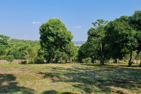 Land in Chiang Rai, Thailand 1600 sq.m. № 171661 - photo 26
