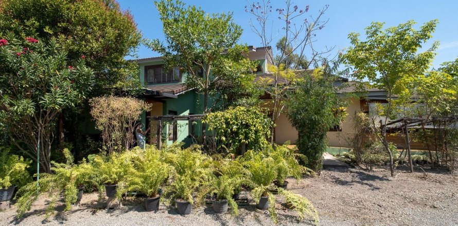 Maison à Chiang Mai, Thaïlande 3 chambres № 159995