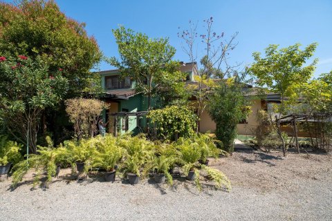 Maison à Chiang Mai, Thaïlande 3 chambres № 159995