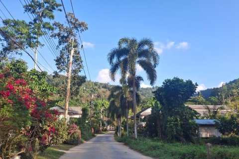 Земельный участок в Самуи, Таиланд 3000м2  № 170533 - фото 13