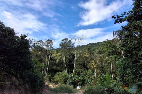 Земельный участок в Самуи, Таиланд 3000м2  № 170533 - фото 7