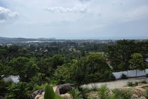 Земельный участок в Самуи, Таиланд 1584м2  № 139476 - фото 6