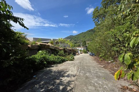 Земельный участок в Самуи, Таиланд 1584м2  № 139476 - фото 8