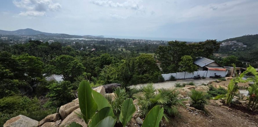 Земельный участок в Самуи, Таиланд 1584м2  № 139476