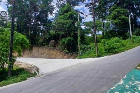Земельный участок в Кату, Таиланд 32000м2  № 152914 - фото 9