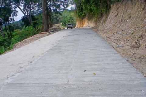 Земельный участок в Кату, Таиланд 32000м2  № 152914 - фото 8